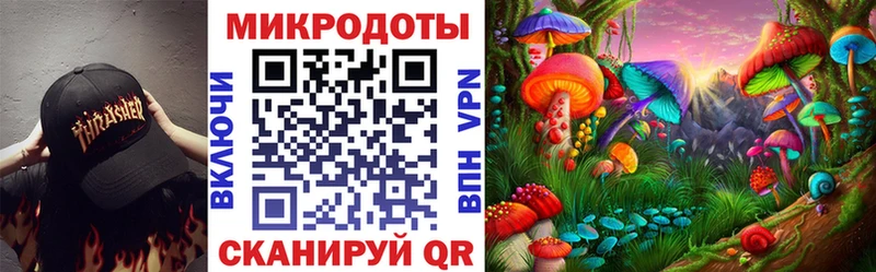 МЕГА маркетплейс как найти закладки Княгинино Псилоцибиновые грибы прущие грибы